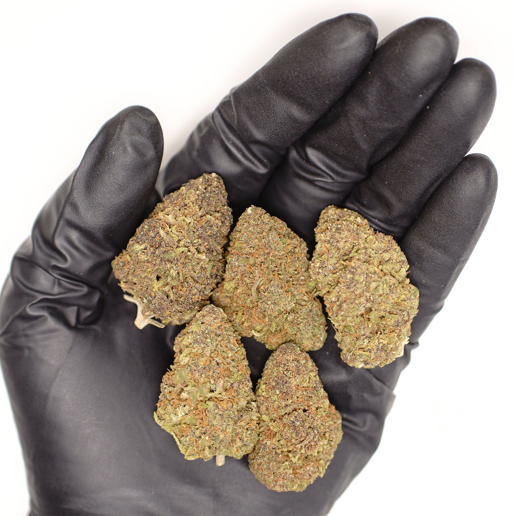 Rainbow Sherbet Hemp Flower