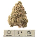Raspberry Bear Claw Hemp Flower
