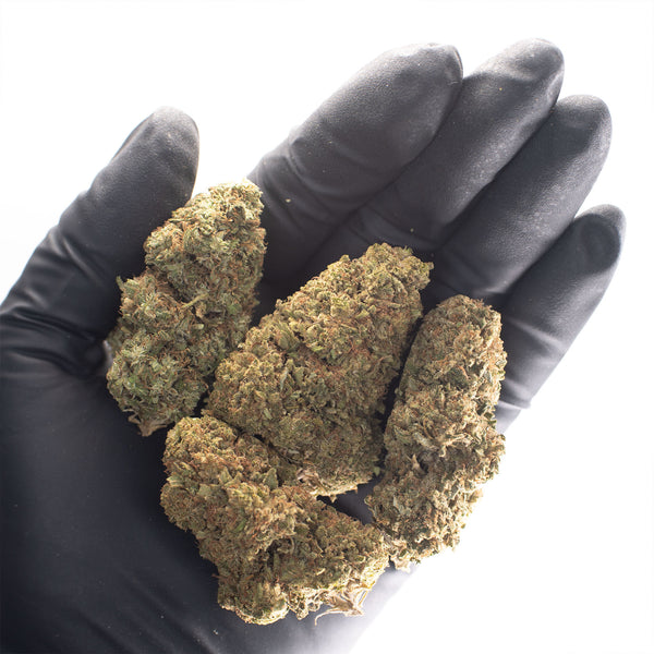 NEW! Raspberry Bear Claw Hemp Flower