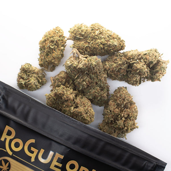 NEW! Raspberry Bear Claw Hemp Flower