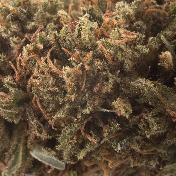 NEW! Royal OG Hemp Flower