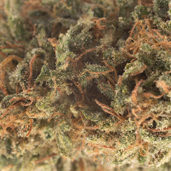 NEW! Skunk Candez Hemp Flower