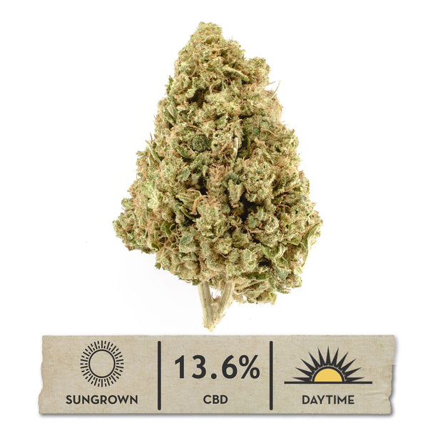 NEW! Sour Brûlée Hemp Flower