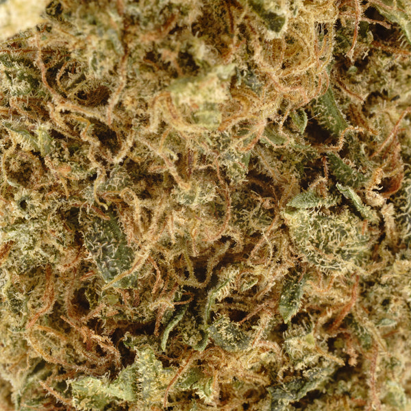 NEW! Sour Brûlée Hemp Flower