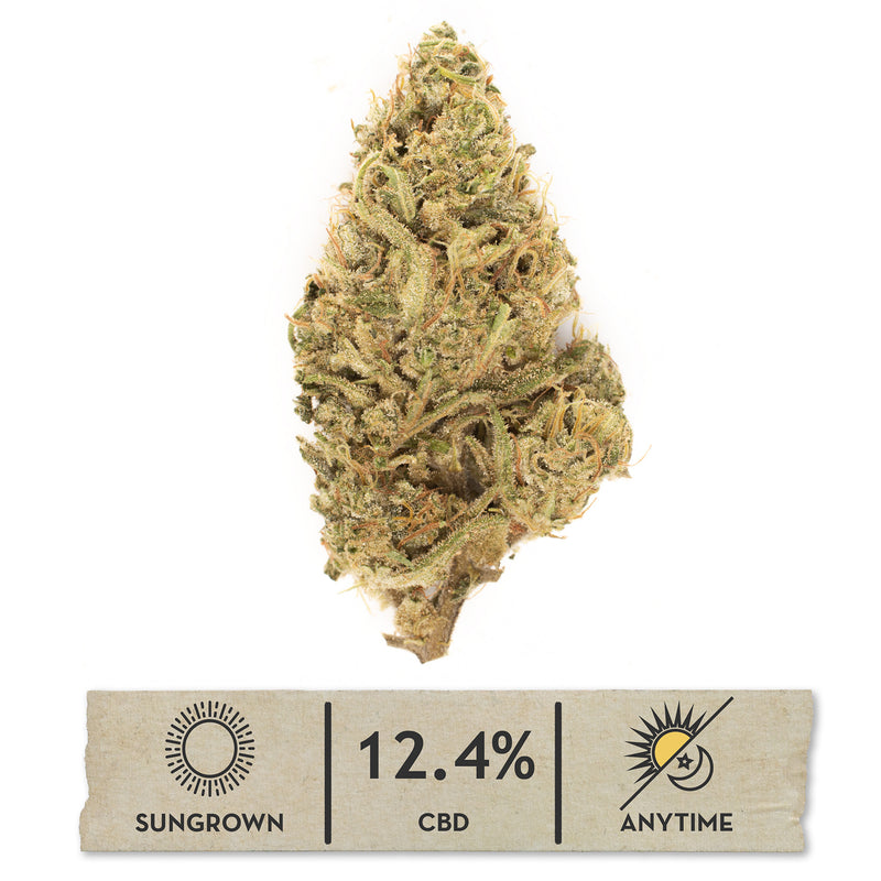 Sour Lifter CBD hemp flower, single bud on white with its sungrown, 12.4% CBD label