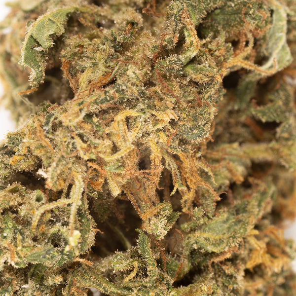 Sour Lifter CBD hemp flower, close-up of pale green bud with orange hairs