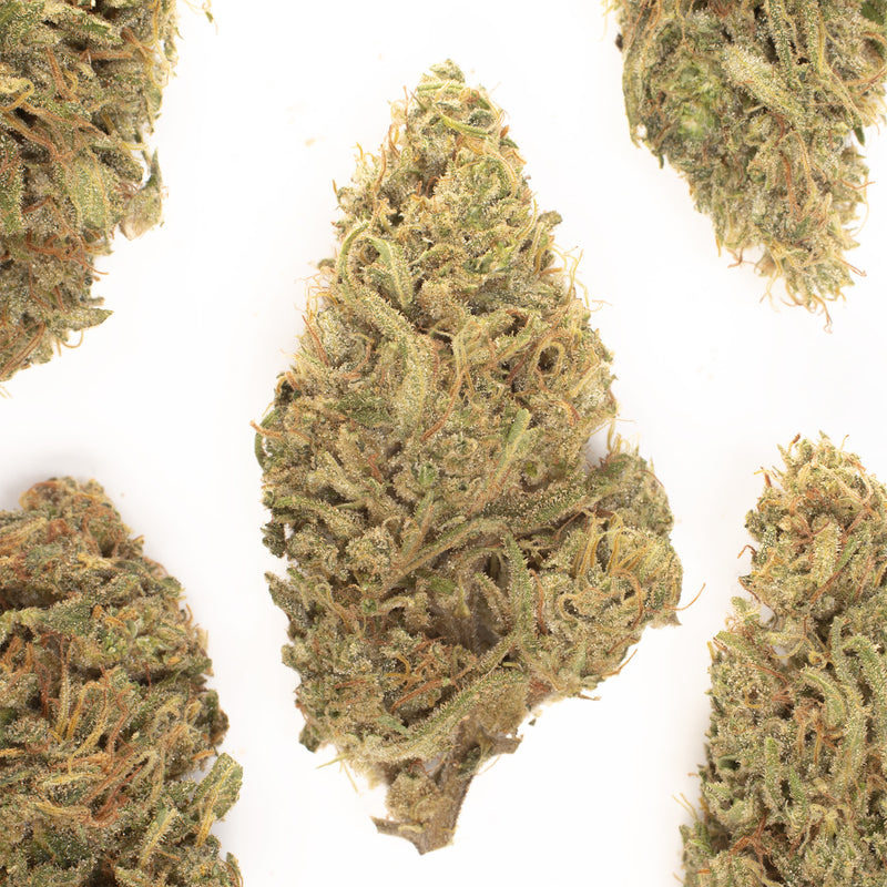 Sour Lifter CBD hemp flower, several whole buds on white