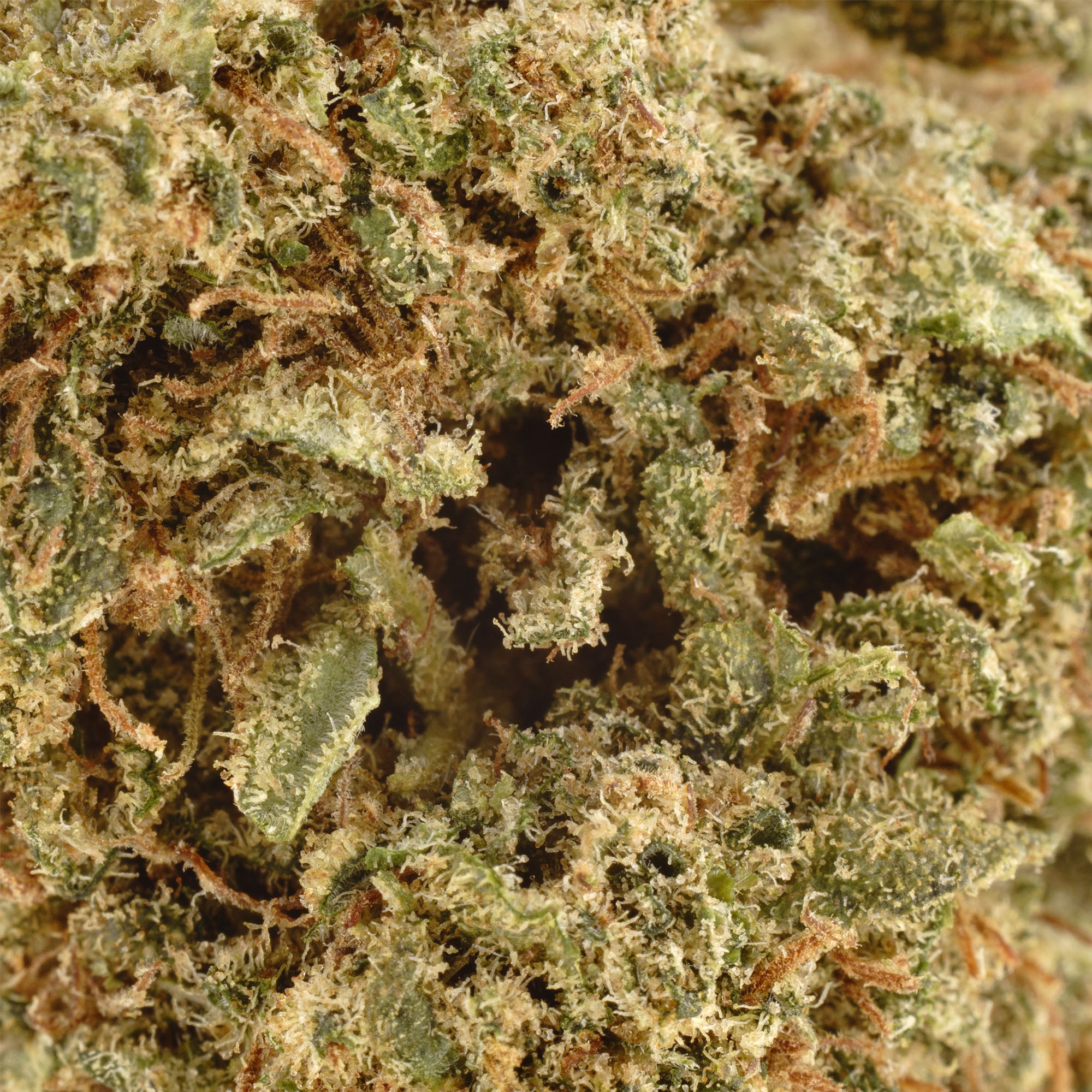 Sour Special Sauce Hemp Flower