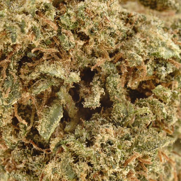 NEW! Sour Special Sauce Hemp Flower