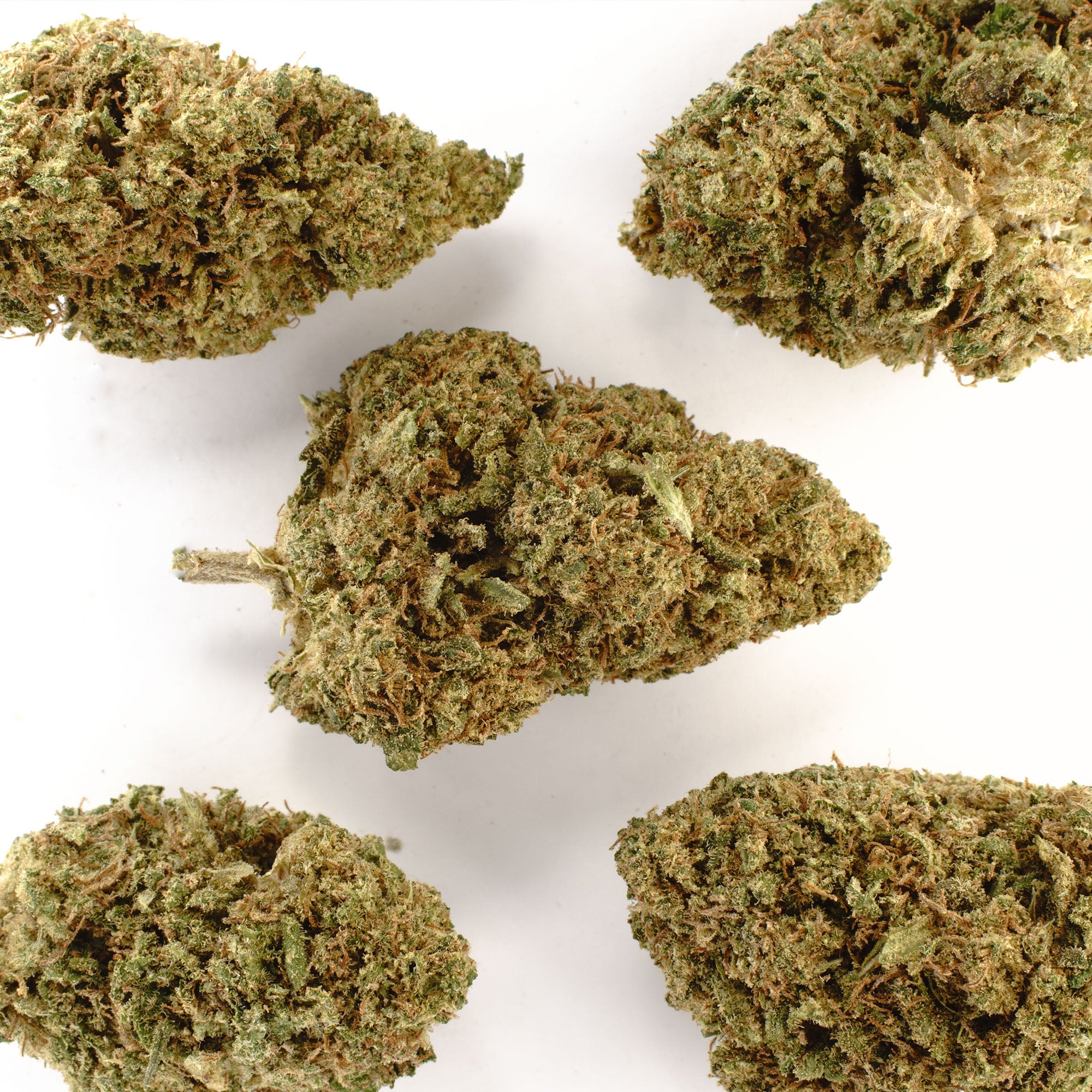 Sour Special Sauce Hemp Flower