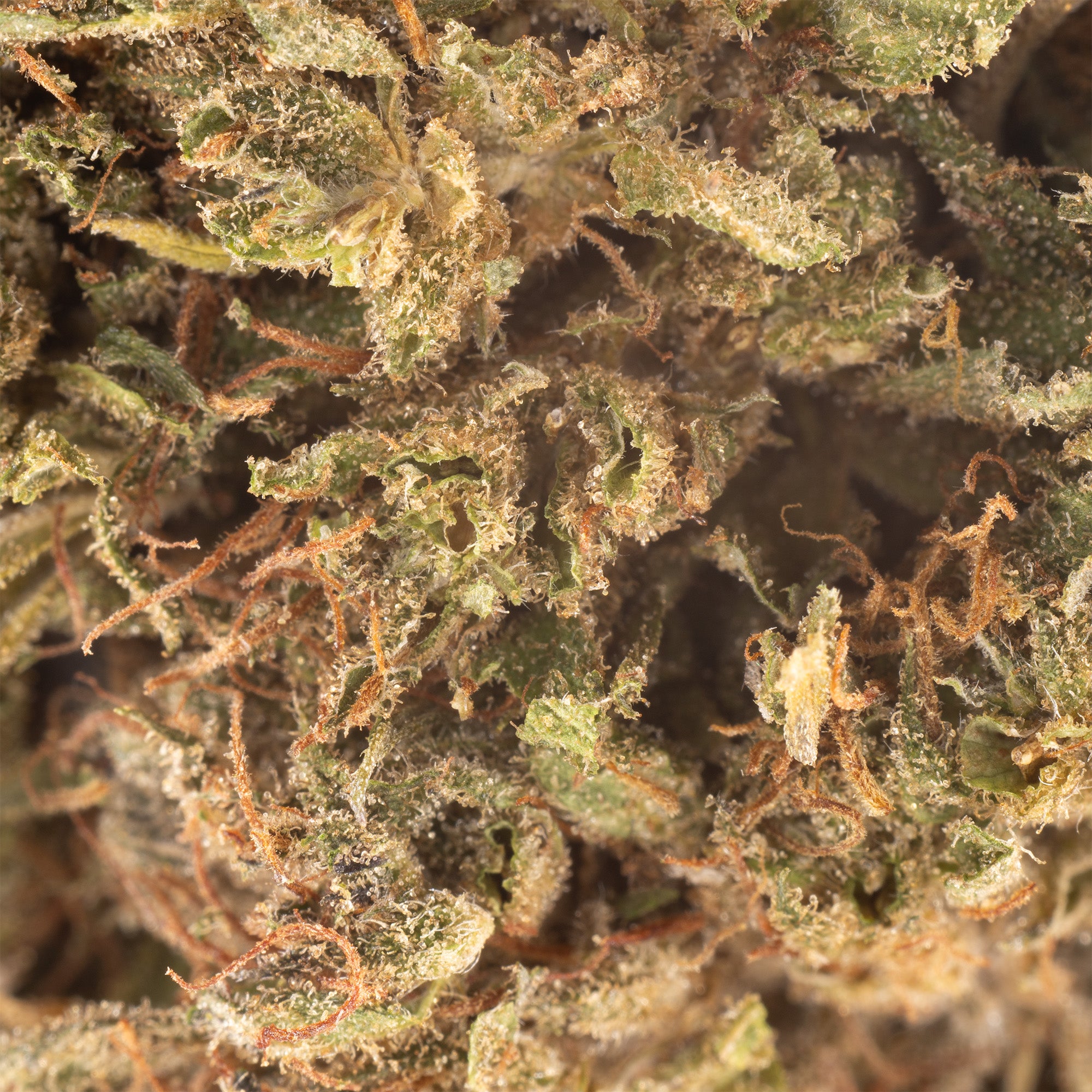 NEW! Strawberry Cookies Hemp Flower