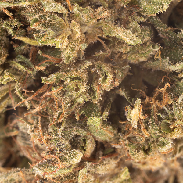 NEW! Strawberry Cookies Hemp Flower