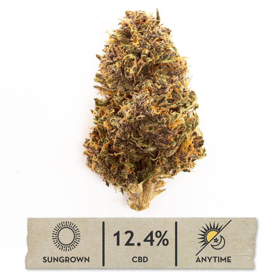 Strawberry Doughnuts CBD hemp flower, single bud on white with its sungrown, 12.4% CBD label