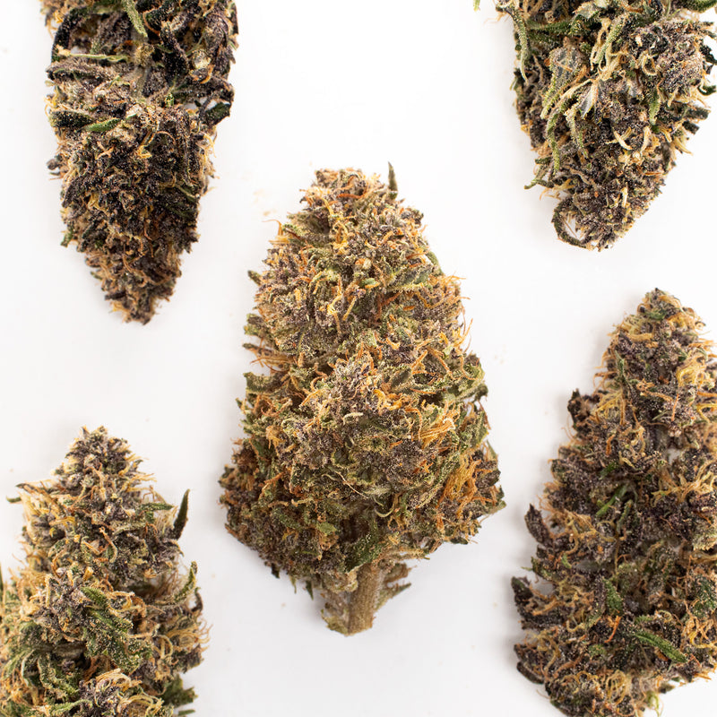 Strawberry Doughnuts CBD hemp flower, several whole buds on white