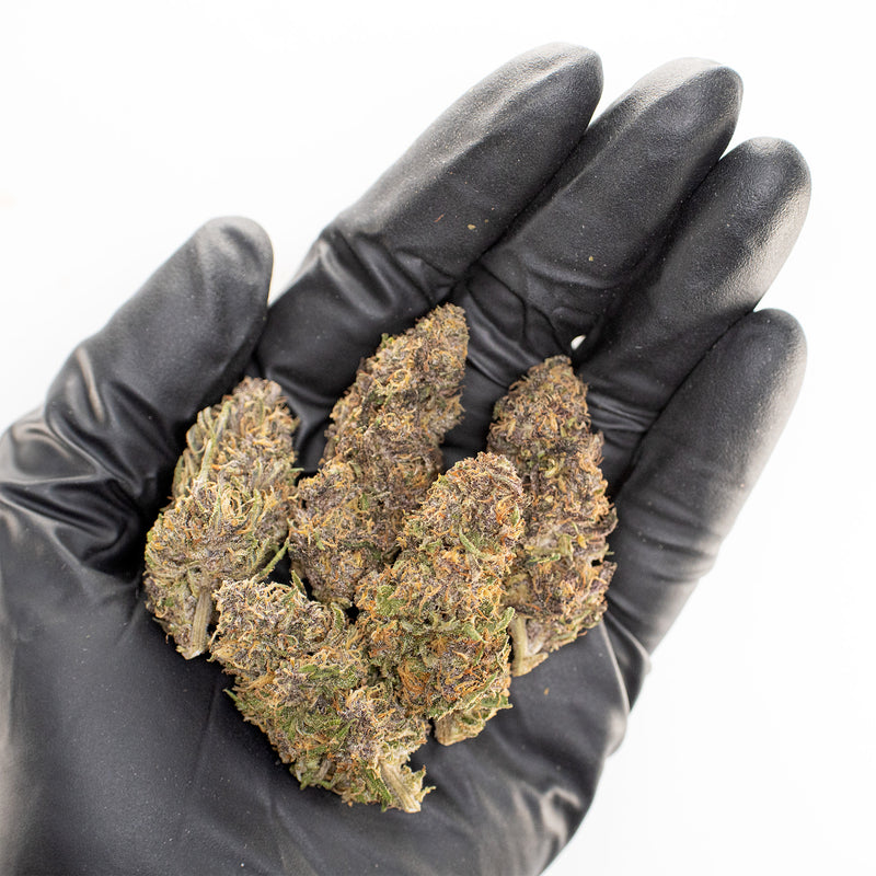 Strawberry Doughnuts CBD hemp flower, a handful of buds in a gloved hand