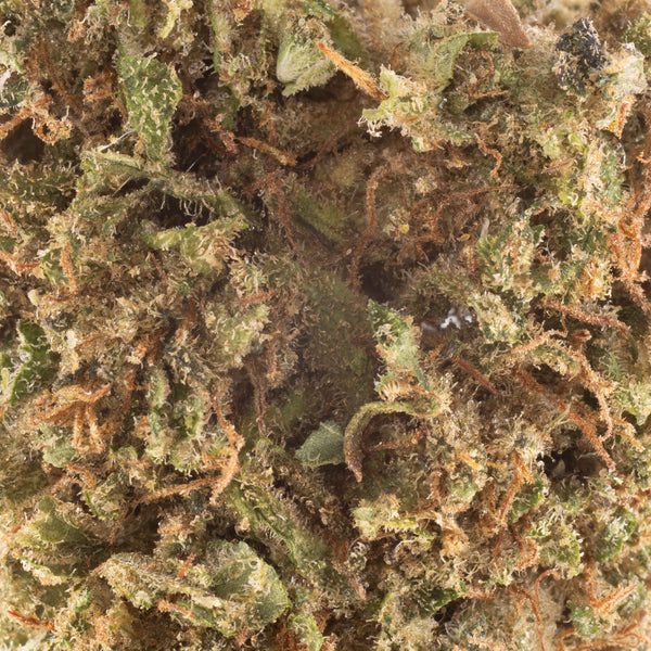 NEW! Sugar Shaker Hemp Flower