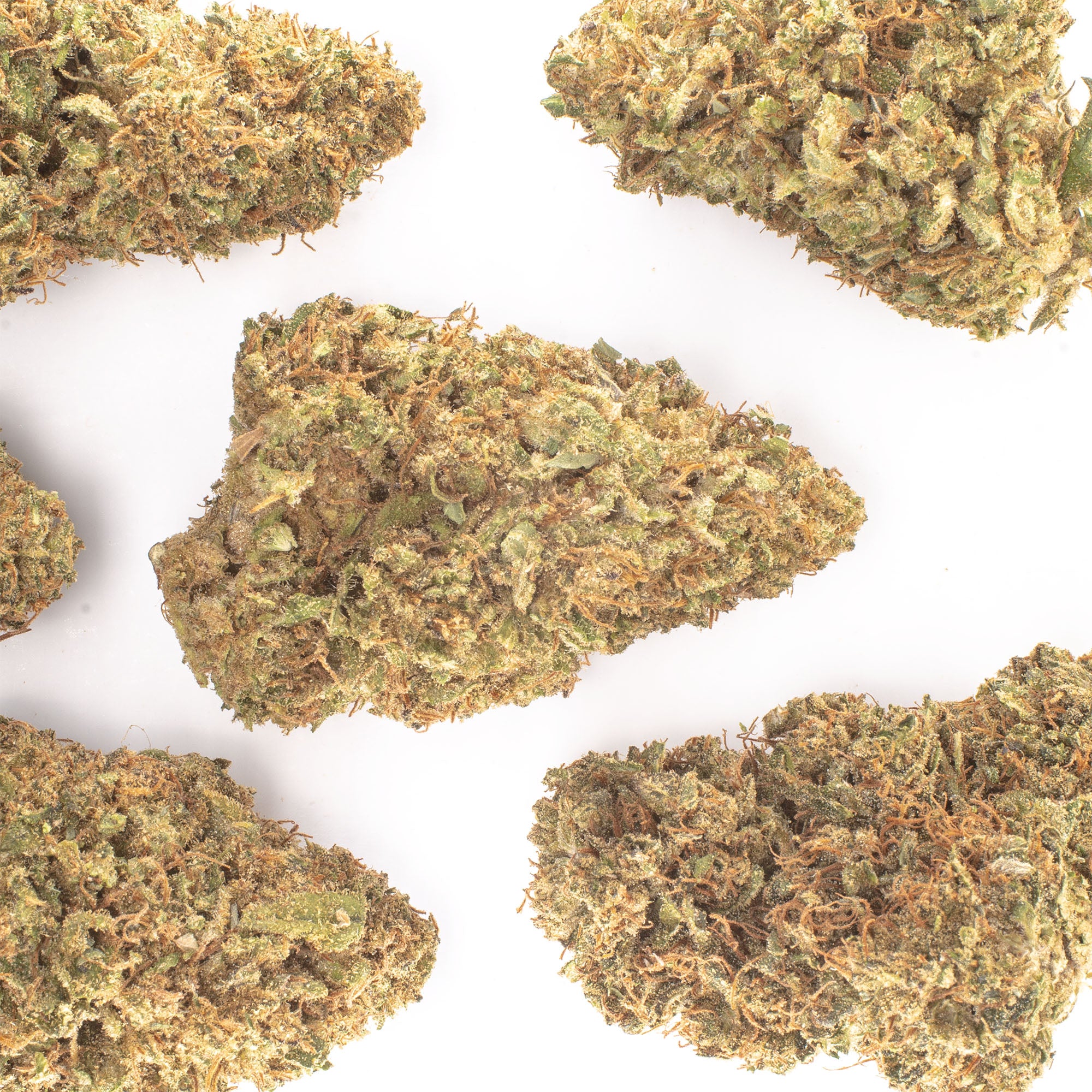 NEW! Sugar Shaker Hemp Flower