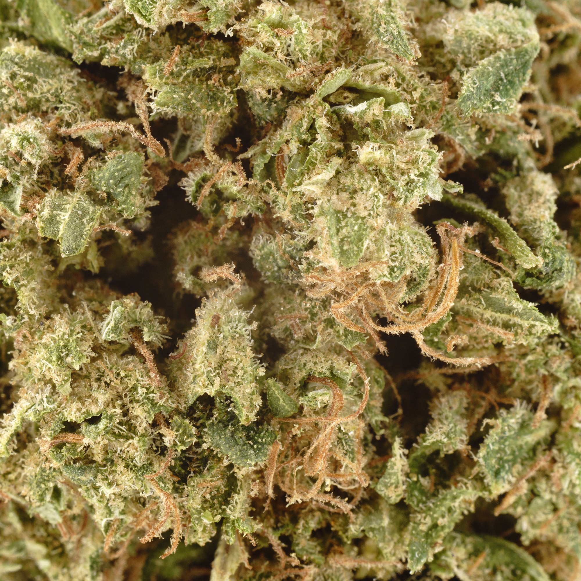 Super Sour Space Candy Hemp Flower