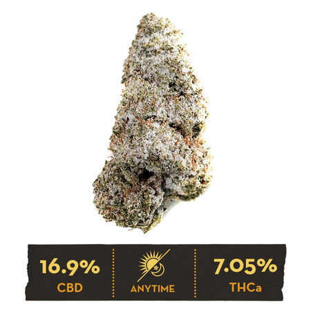 THC パロディ rare LLICA marijuana USA製 THC パロディ rare LLICA marijuana USA製 THCa Super Sour OG