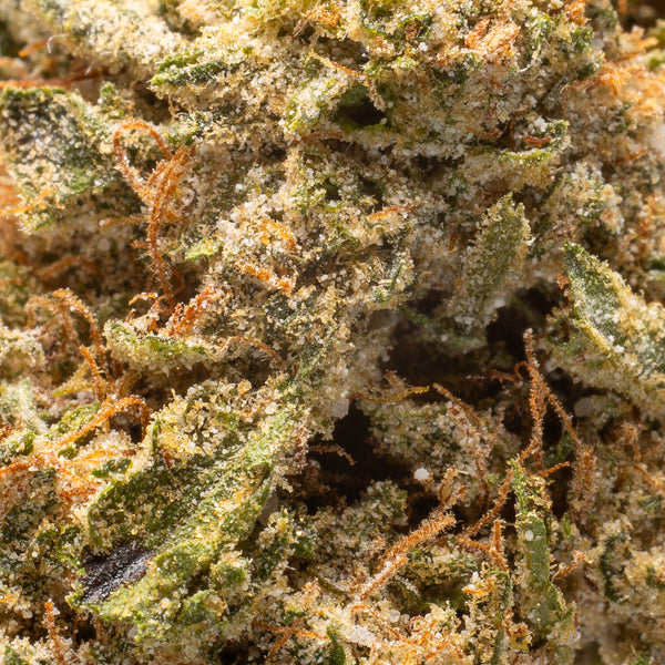 NEW! Master OG THCa Hemp Flower