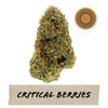 Critical Berries Hemp Flower