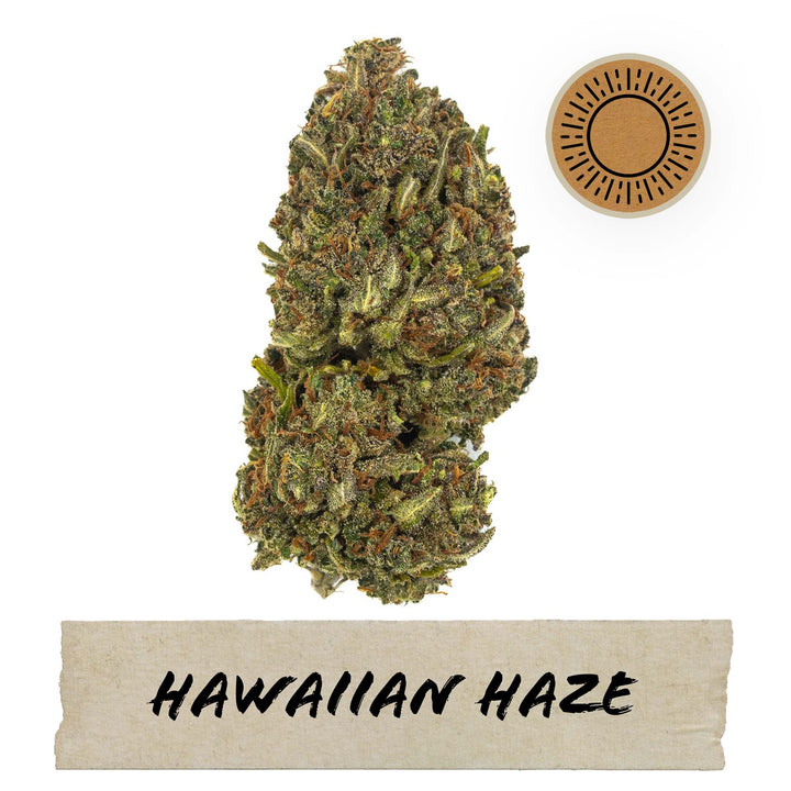Rogue Origin Hawaiian Haze CBD Flower